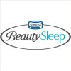 Simmons-BeautySleep-High-Quality-Innerspring-Mattress-Set-Queen-Firm-Standard-Height-0-0