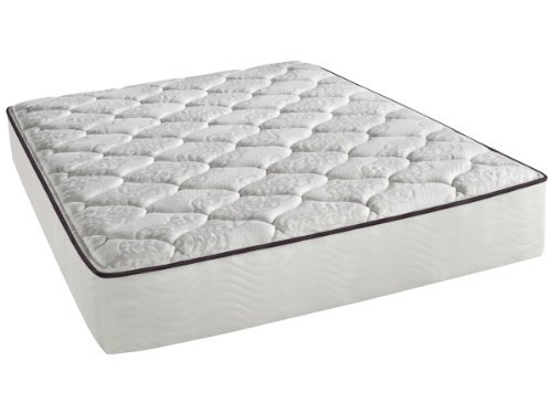 simmons beautyrest silver fernanda plush