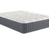 Sleep-Inc-14-Inch-BodyComfort-Elite-5000-Luxury-Firm-Mattress-0-1