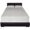 Sleep-Master-13-Inch-Pillow-Top-Memory-Foam-Mattress-with-Double-Layered-Air-Cool-Foam-0-1