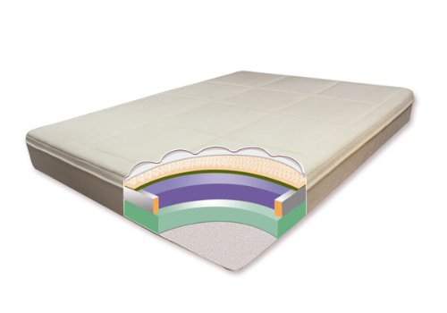Spirit Sleep Dreamer Theratouch 11-Inch Memory Foam Mattress - mattress ...