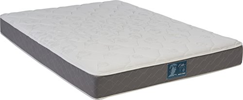 Wolf-Corp-Double-Sided-Reversible-Ortho-Ultra-Firm-Foam-Encased-Innerspring-Mattress-0