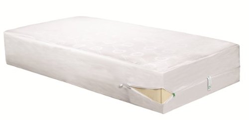 clean rest mattress encasement bed bugs